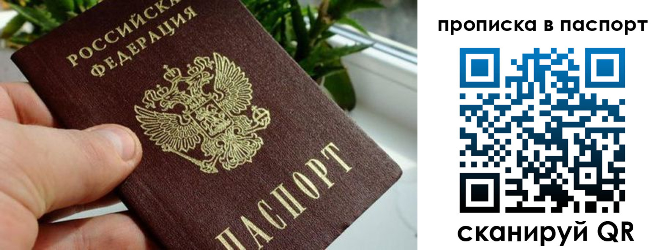 пропишу в квартире в Барыше