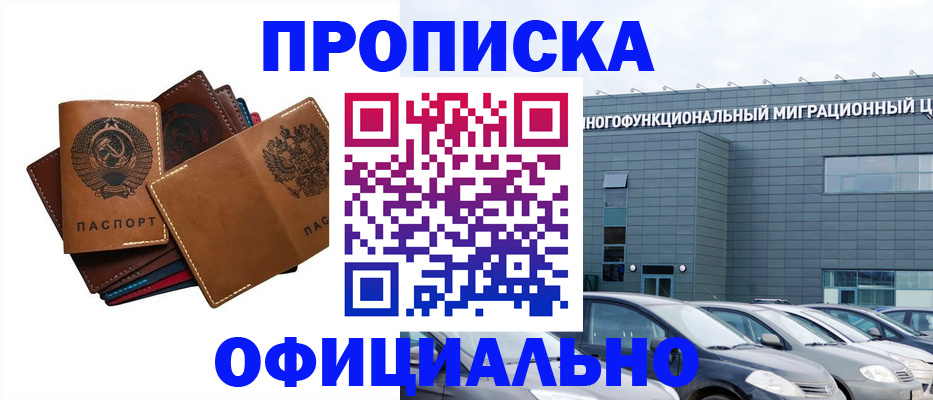 прописка в квартире в Барыше